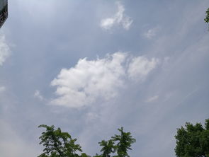 小学二年级语文《望天》原文、教案及教学反思