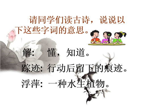 踪迹的拼音