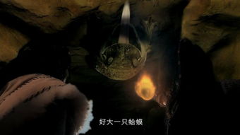 骇鸟，骇然