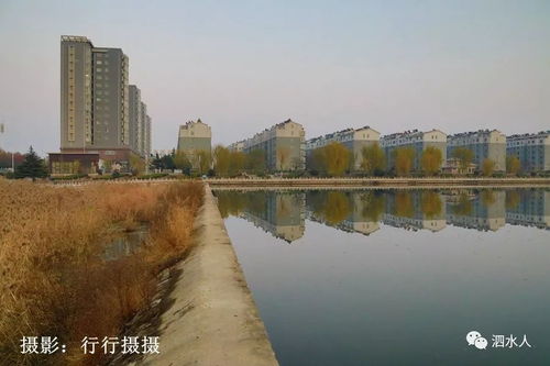 济河怎么读音，济河县在哪