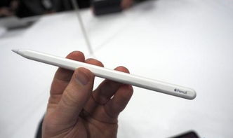 pencil是什么意思?
