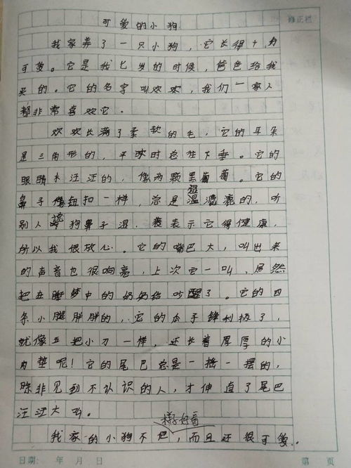 可爱的小狗作文400字