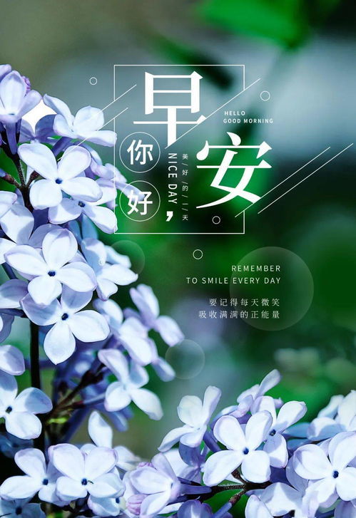 肤浅的拼音及意思，拼音拼读大全表