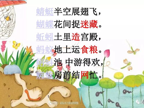 动物儿歌一年级下册课文原文，动物儿歌一年级下册课文图片