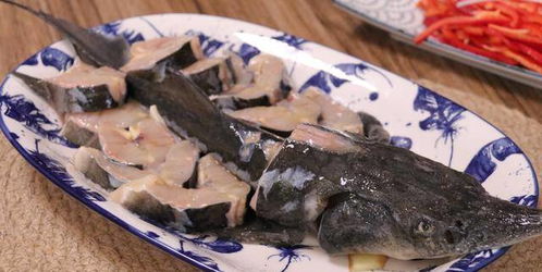 鲟鱼的好吃做法有哪些