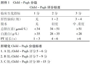 怎样在spss19软件中计算meld评分