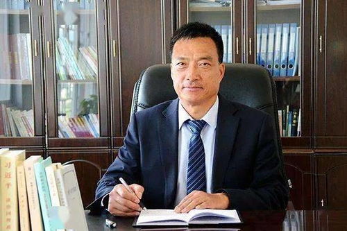 王德军投案自首，王德君简介出生地