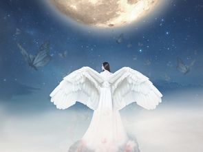白月光女孩是什么意思