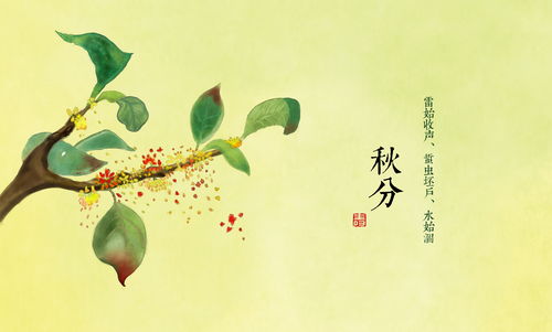 秋分节气的含义是什么，秋分是立秋的意思吗
