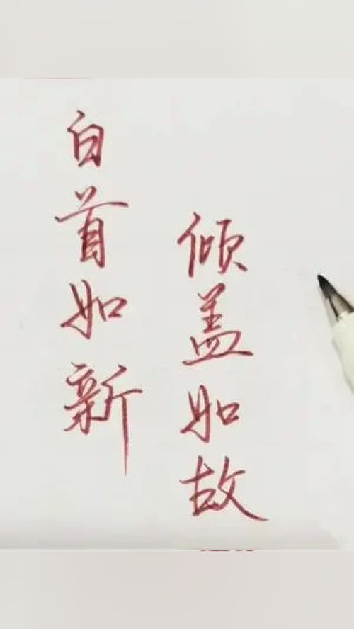 白首如新倾盖如故下一句，白首如新是什么意思