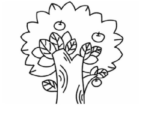 秋天的苹果树怎么画，苹果树怎么画简笔画图片