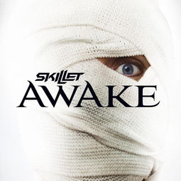 skillet 的 one day too late 中文歌词