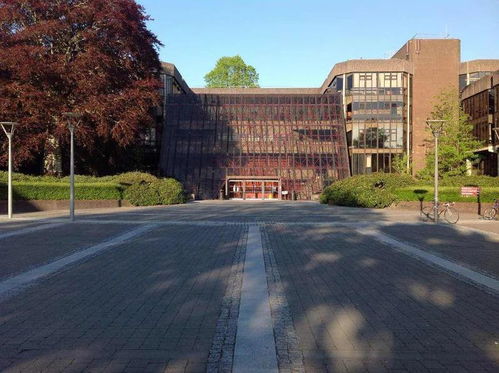 利莫瑞克大学有哪些好的方面
