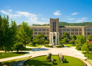 东京国际大学怎么样，东国大学是国内几本
