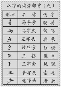 这字是什么偏旁