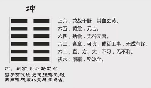 阴爻什么意思，阴爻阳爻数字