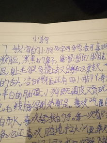 一只可爱的小狗作文400字，可爱的小狗作文400字说明文
