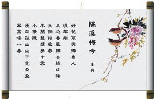 什么是词?
