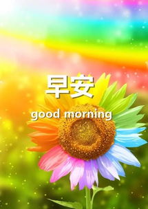 清晨问候语每天问候语免费，清晨问候语大全简短