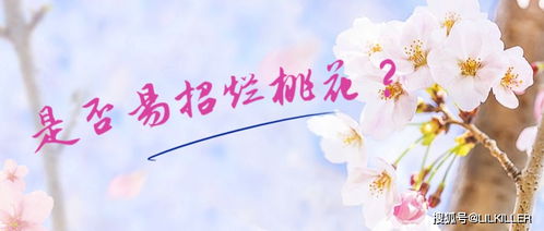 感情用事的意思是什么意思