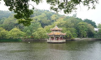 西湖公园最佳游玩时间是什么时候