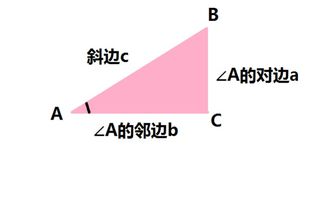 cos是什么边比什么边?