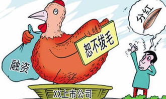 铁打的公鸡一毛不拔的意思，一毛不拔意思解释