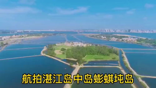 江岛智立方，江岛子鱼