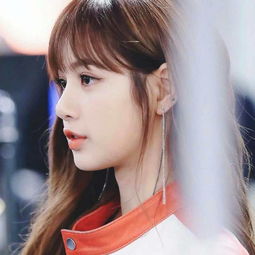 Lisa什么意思