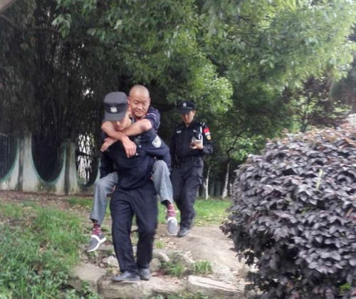 人不独亲其亲不独子其子的意思人不独亲其亲不独子其子的意思解析