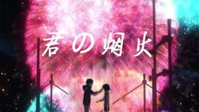 盲人提灯笼读后感，青铜葵花第八章纸灯笼读后感