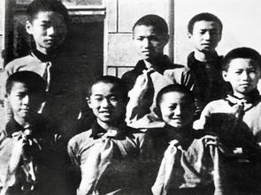 道法课中伍仲文和蔡博的事迹让你体会到了英雄什么优秀品质?