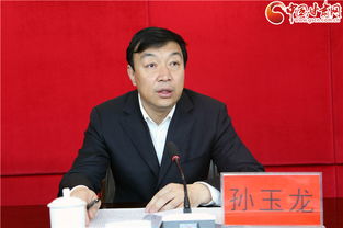 孙玉龙 元宝，孙玉龙师芳