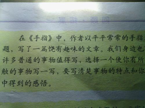 发现美作文300字，发现美作文450字左右