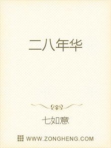 二八年华多少岁?