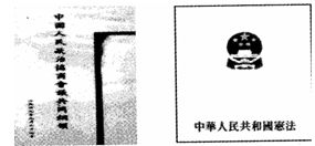人民行使权力的机关是哪两个，人民行使权力的机关有( )
