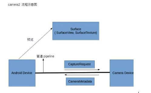 什么是metadata
