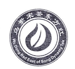 舞动太极什么意思