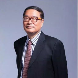 魏杰清华大学教授，魏杰书法简介