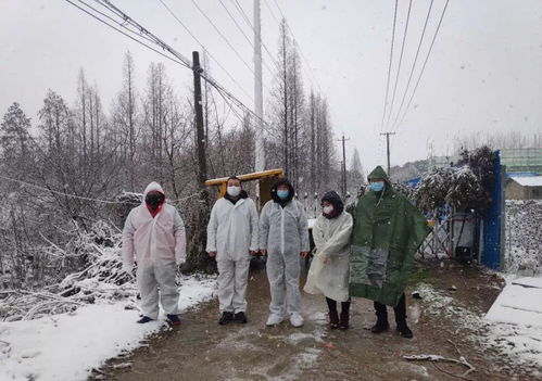 登山小鲁是什么生肖，登山小鲁指的什么动物求解答