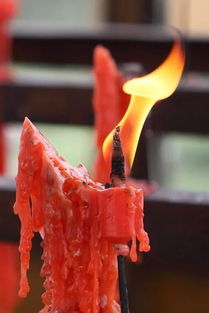 ‘身如柳絮随风摆,历经沧桑无聊赖’的出处是?
