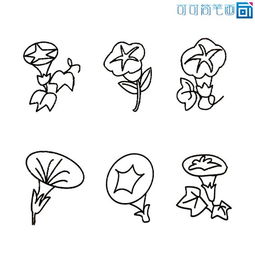 简笔画好看的花朵
