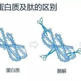 道尔顿是什么单位?