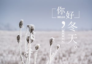 冬天的清晨作文