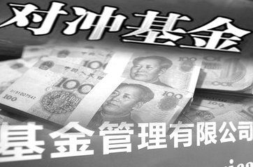 对冲基金是什么意思