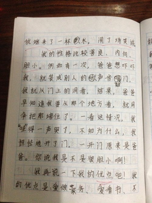 自我介绍作文600字