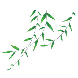 柳树简笔画怎么画
