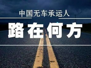动物会先吃数量比较多的食物这是什么理论