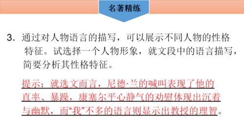 《海底两万里》每章概括