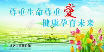 尊重生命是什么意思，尊重生命的理解